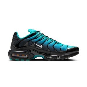 Nike Air Max Plus TN Black Aqua